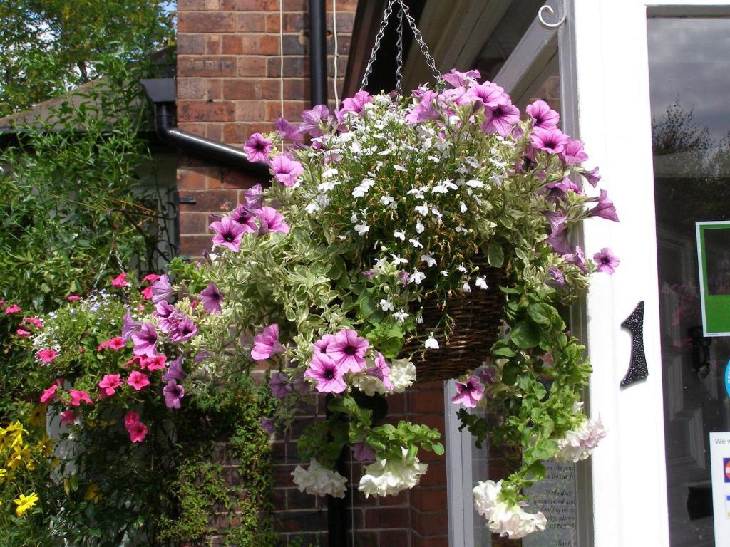 Anton Guest House Bed and Breakfast Shrewsbury Exterior foto